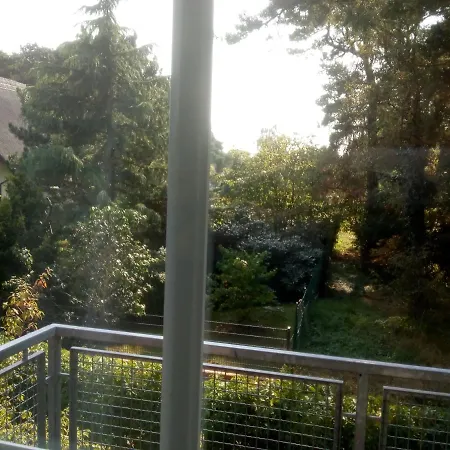Kiefernblick *
